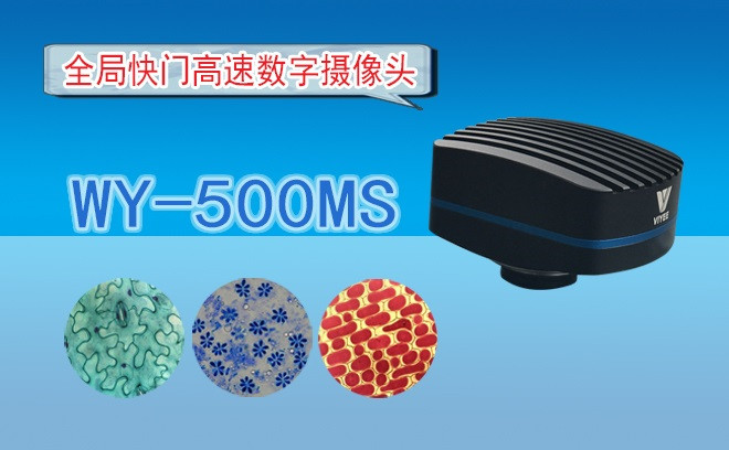 生命科学麻豆影视在线观看的观察方式