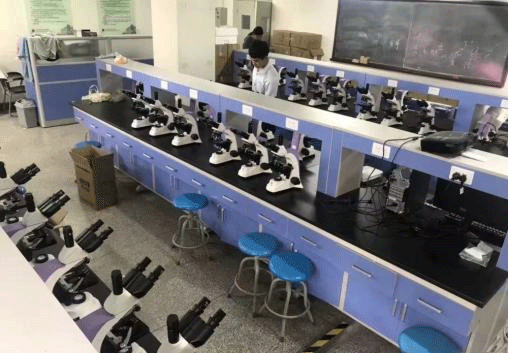 生物麻豆影视在线观看.png
