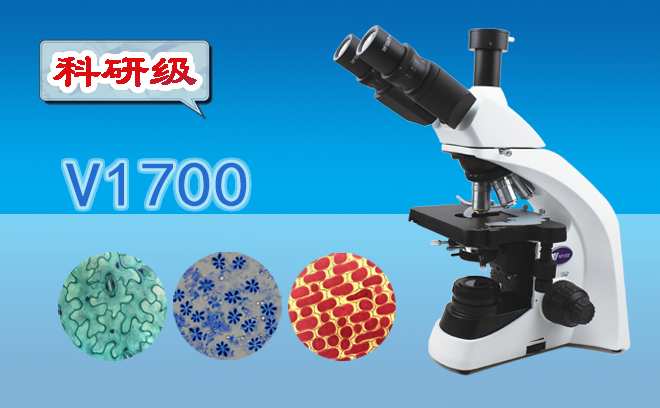 生物麻豆影视在线观看的分类和使用方法是什么呢？