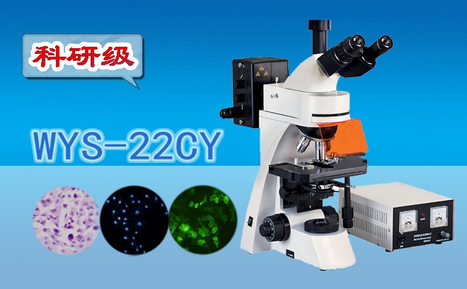 荧光麻豆影视在线观看的使用方法