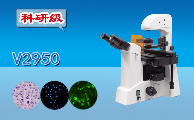荧光麻豆影视在线观看.png