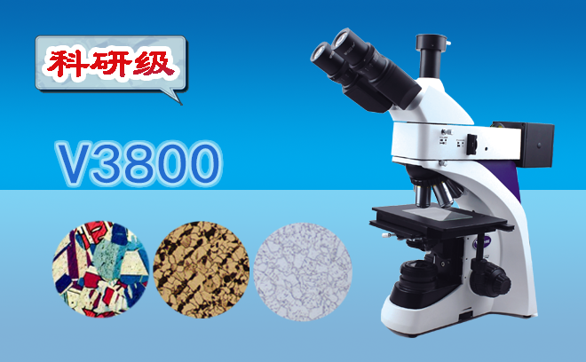 金相麻豆影视在线观看.png
